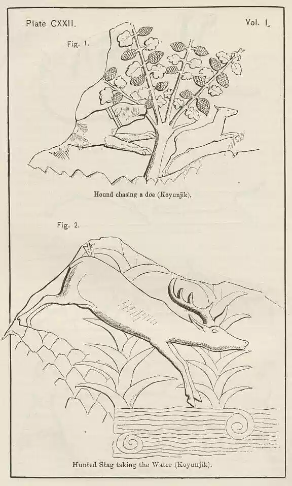 plate122